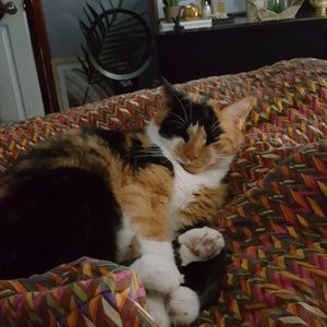 Meet your Posher, Dale